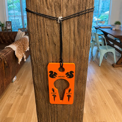 🐿️Squirrel Skinning Tool